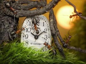 Photo by Andrey Pavlov