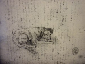 traythedogmaryanning