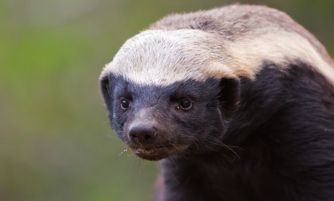 3234237-5808560172-57573